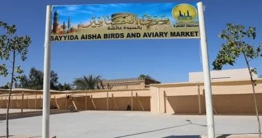 سوق الحمام الجديد بالسيدة عائشة: تحول حضاري تاريخي