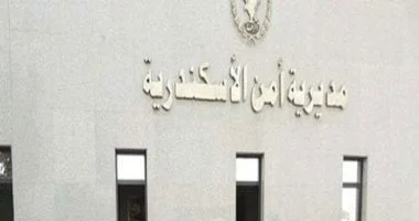 القبض على متهم بقتل جاره في الإسكندرية