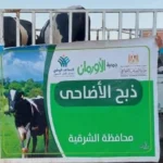 خطة توزيع الأضاحي على الأسر الأولى بالرعاية في الشرقية