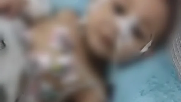 مأساة عائلية في الصف: جريمة تودي بحياة رضيع
