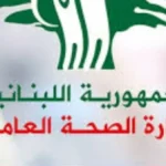 غارة إسرائيلية تسفر عن شهيدة و7 مصابين في عين بعال