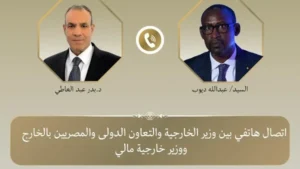 مصر تؤكد تضامنها الكامل مع مالي ضد الإرهاب