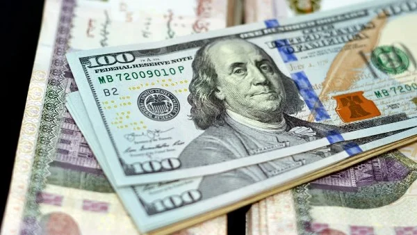 سعر الدولار يستقر عند 53.67 جنيه في البنوك