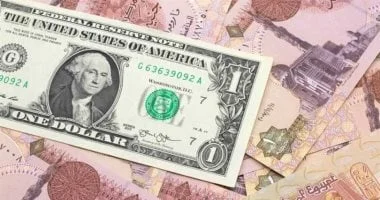 استقرار الدولار أمام الجنيه المصري اليوم
