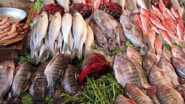 انخفاض أسعار الأسماك اليوم بالسوق المصري