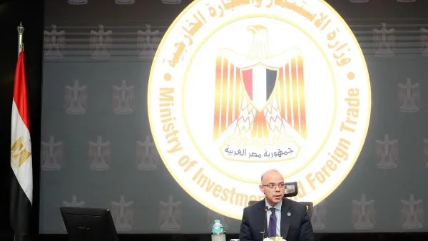 الاستثمار في مصر: جهود رقمنة وتحسين بيئة الأعمال