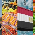 الطفرة الزراعية المصرية تعكس جودة المنتج الوطني