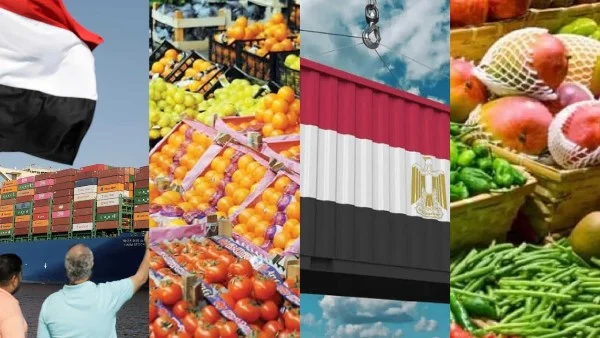 الطفرة الزراعية المصرية تعكس جودة المنتج الوطني