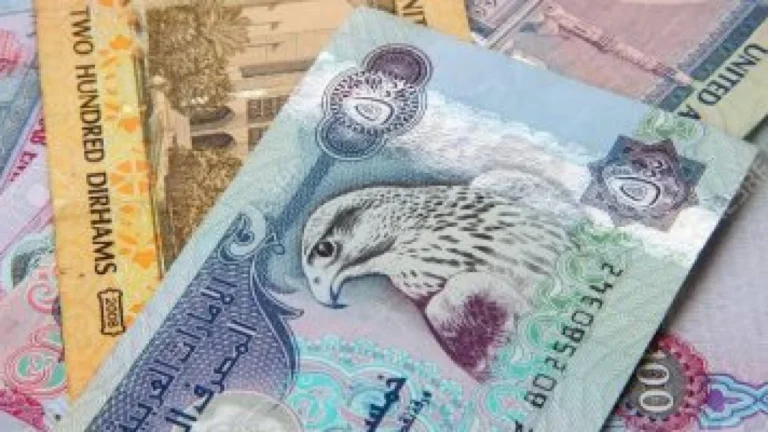 أسعار الدرهم الإماراتي مقابل الجنيه المصري اليوم