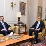 وزيرا خارجية مصر وسوريا يبحثان العلاقات الثنائية في القاهرة
