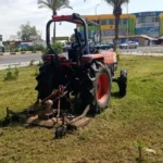 جهود زراعة الأشجار بالقنطرة شرق في مبادرة 100 مليون شجرة