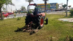 جهود زراعة الأشجار بالقنطرة شرق في مبادرة 100 مليون شجرة