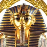 نتائج حملات تموين الأقصر خلال أبريل 2026