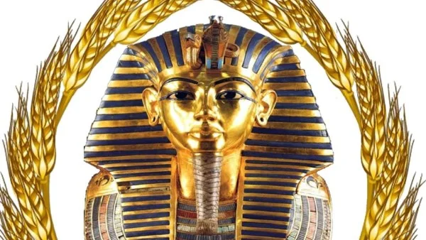 نتائج حملات تموين الأقصر خلال أبريل 2026