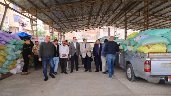 محافظ دمياط يزور شون القمح للاطمئنان على التوريد