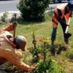 القنطرة شرق تتألق بالأشجار والمساحات الخضراء