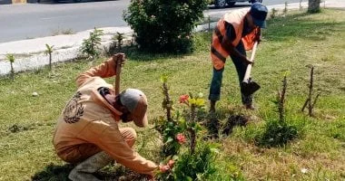 القنطرة شرق تتألق بالأشجار والمساحات الخضراء