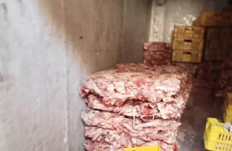 ضبط 3 أطنان دواجن فاسدة و1057 بطاقة تموينية في الجيزة