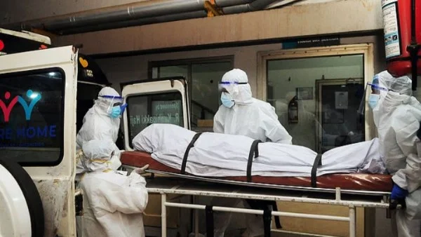 فيروس "هانتا" يثير القلق بعد وفاة 3 أشخاص