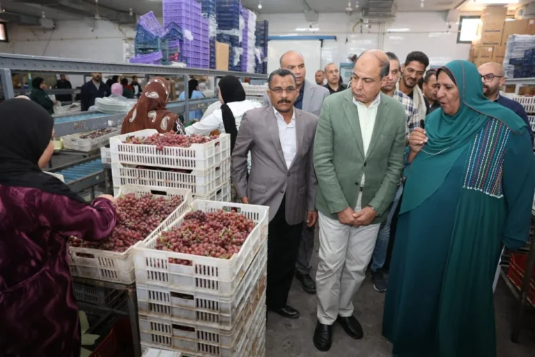 "محطة البيهو تعزز تصدير الفراولة والعنب"