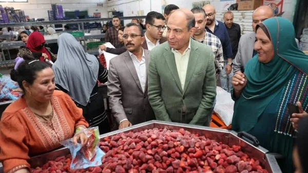 زيارة محافظ المنيا لمحطة تعبئة الفاكهة في البيهو