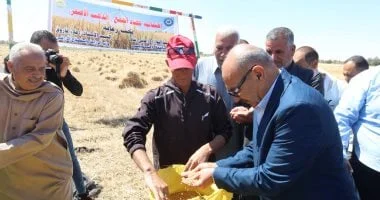 محافظ السويس يحتفل بحصاد القمح ويؤكد دعم المزارعين
