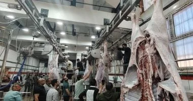 معلومات حول مجزر ديرب نجم المطور في الشرقية