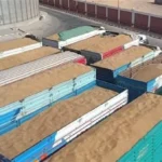 توريد ربع مليون طن قمح في الوادي الجديد