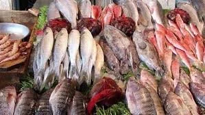 تراجع أسعار البلطي وزيادة في الجمبري بأسواق السمك