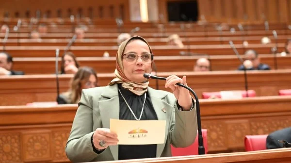 توصية برلمانية لإنقاذ حالات تمويل عقاري عالقة