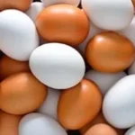 أسعار البيض بالقليوبية اليوم 4 مايو 2026