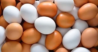 أسعار البيض بالقليوبية اليوم 4 مايو 2026