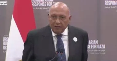 موافقة رئيس "خارجية النواب" على الحساب الختامي للموازنة