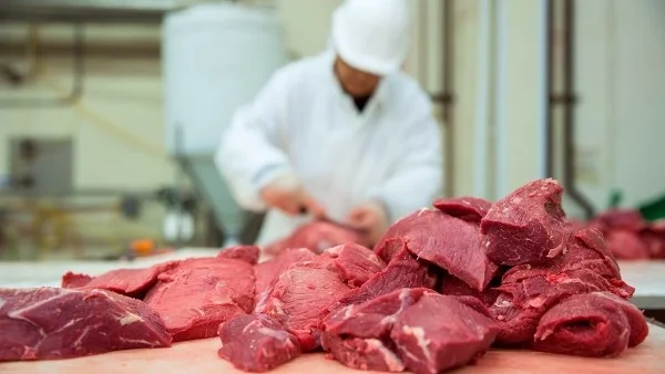 الحكومة تكشف عن تحسن أسعار اللحوم الحمراء