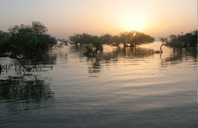 وادي الجمال.. سحر الطبيعة بين البحر والصحراء