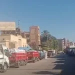 إقبال كبير على توريد القمح في الأقصر