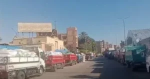 إقبال كبير على توريد القمح في الأقصر