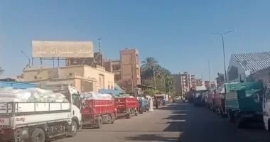 إقبال كبير على توريد القمح في الأقصر