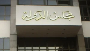 استمرار الإعفاءات الضريبية للهيئة القومية للتأمين الاجتماعي