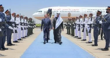 الدعم المتبادل بين مصر والإمارات