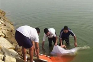 غرق مسن في ترعة بكفر الشيخ