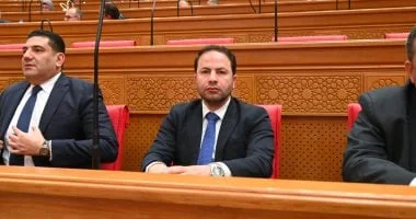 تعزيز العلاقات المصرية الإماراتية نموذج للتحالف الاستراتيجي