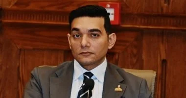زيارة الرئيس السيسي للإمارات تجسيد للأخوة العربية