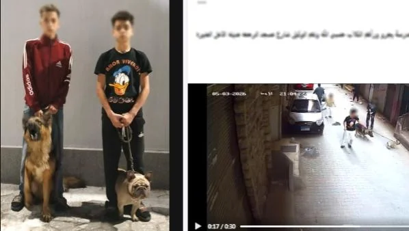 ضبط طالبان في الجيزة بعد فيديو ترويع أطفال بكلبيهما