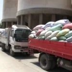 81 ألف طن قمح مُوردة في الغربية