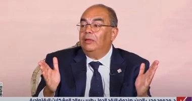 محيي الدين: ربط السلام بالقدرة على التنمية المستدامة