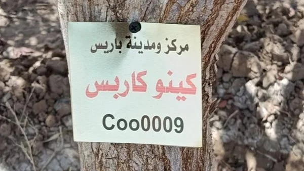 الوادي الجديد تبدأ ترقيم الأشجار بمبادرة الـ100 مليون شجرة