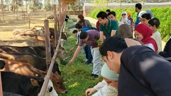 جهود محافظة الشرقية في حماية الطفل