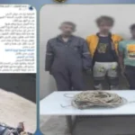 ضبط 3 أشخاص بتهمة سرقة أسلاك الكهرباء في السويس