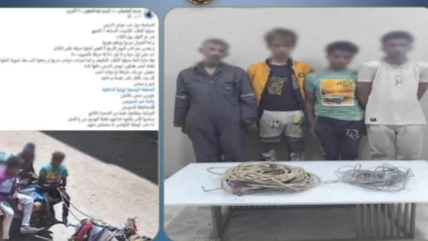 ضبط 3 أشخاص بتهمة سرقة أسلاك الكهرباء في السويس